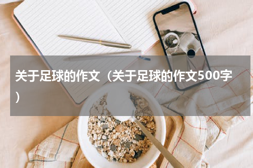 关于足球的作文（关于足球的作文500字）