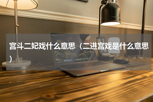 宫斗二妃戏什么意思（二进宫戏是什么意思）