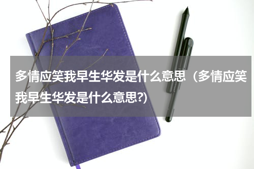 多情应笑我早生华发是什么意思（多情应笑我早生华发是什么意思?）