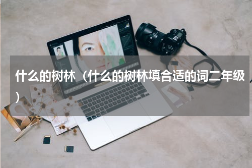 什么的树林（什么的树林填合适的词二年级）