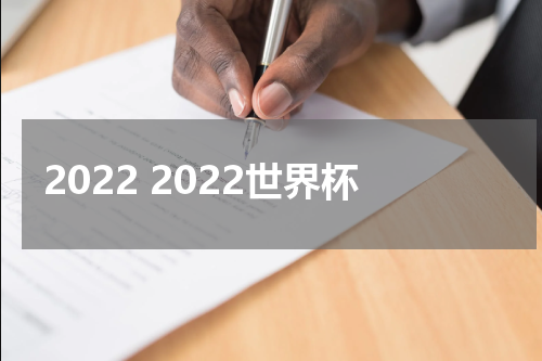 2022 2022世界杯