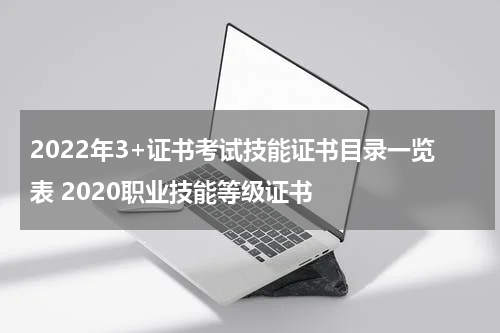2022年3+证书考试技能证书目录一览表 2020职业技能等级证书