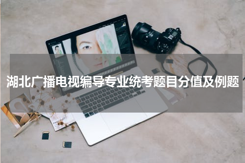 湖北广播电视编导专业统考题目分值及例题