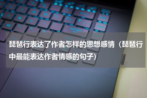 琵琶行表达了作者怎样的思想感情（琵琶行中最能表达作者情感的句子）