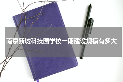 南京新城科技园学校一期建设规模有多大
