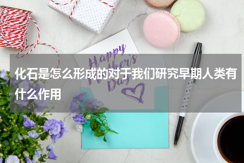 化石是怎么形成的对于我们研究早期人类有什么作用