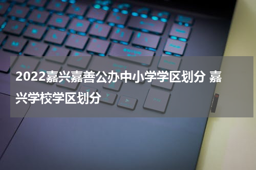 2022嘉兴嘉善公办中小学学区划分 嘉兴学校学区划分
