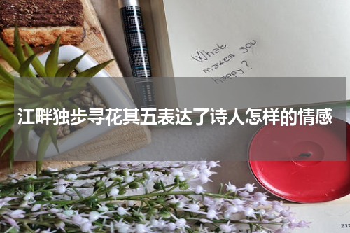 江畔独步寻花其五表达了诗人怎样的情感