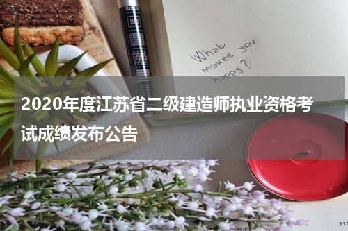 2020年度江苏省二级建造师执业资格考试成绩发布公告