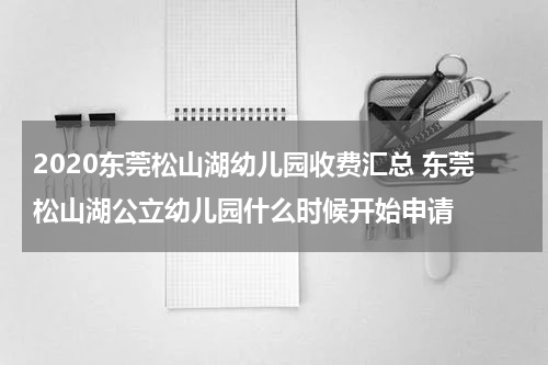 2020东莞松山湖幼儿园收费汇总 东莞松山湖公立幼儿园什么时候开始申请
