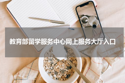 教育部留学服务中心网上服务大厅入口