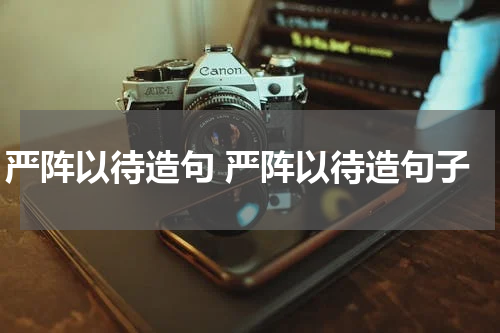 严阵以待造句 严阵以待造句子
