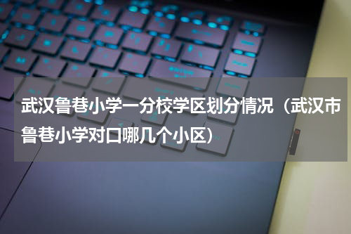 武汉鲁巷小学一分校学区划分情况（武汉市鲁巷小学对口哪几个小区）