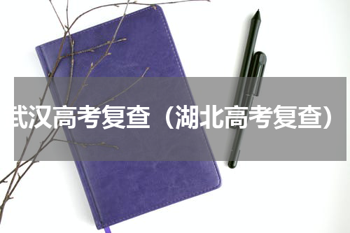 武汉高考复查（湖北高考复查）