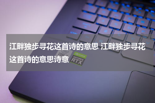 江畔独步寻花这首诗的意思 江畔独步寻花这首诗的意思诗意