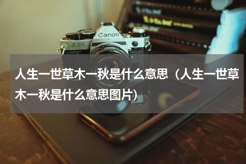 人生一世草木一秋是什么意思（人生一世草木一秋是什么意思图片）