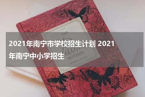 2021年南宁市学校招生计划 2021年南宁中小学招生