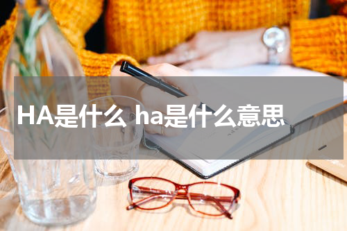 HA是什么 ha是什么意思