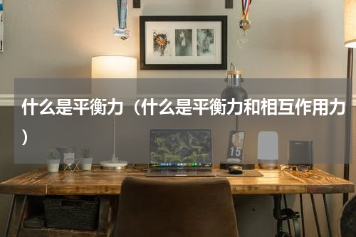 什么是平衡力（什么是平衡力和相互作用力）