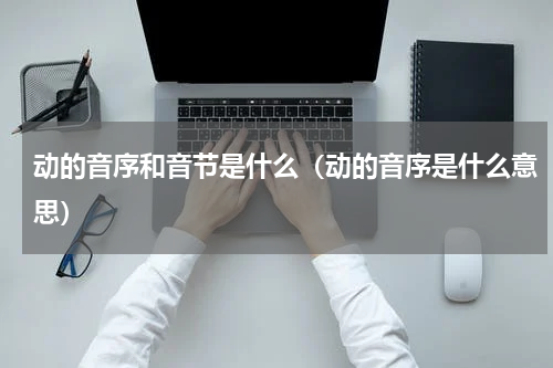 动的音序和音节是什么（动的音序是什么意思）