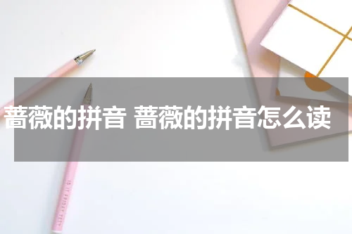 蔷薇的拼音 蔷薇的拼音怎么读
