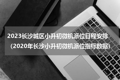2023长沙城区小升初微机派位日程安排（2020年长沙小升初微机派位指标数据）
