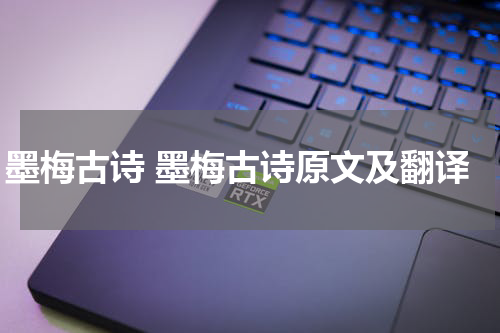 墨梅古诗 墨梅古诗原文及翻译