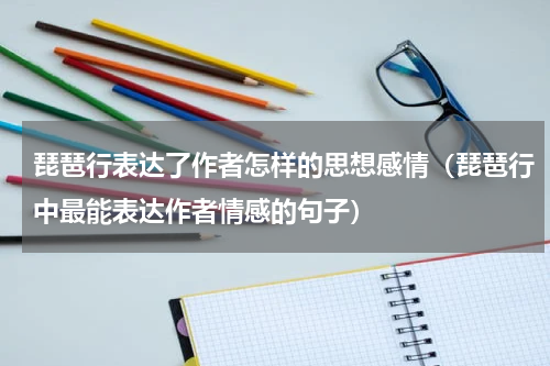 琵琶行表达了作者怎样的思想感情（琵琶行中最能表达作者情感的句子）