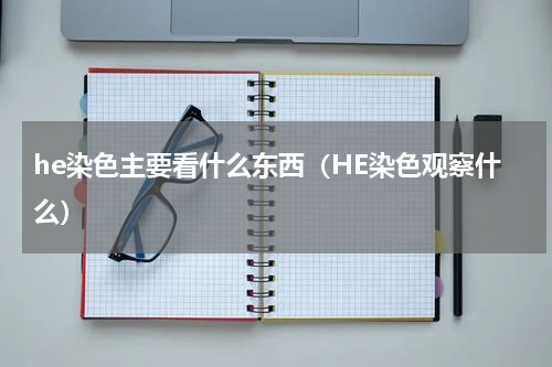 he染色主要看什么东西（HE染色观察什么）