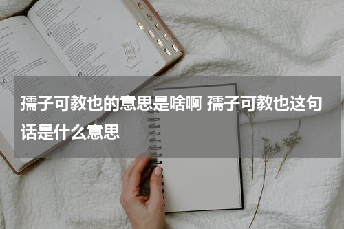 孺子可教也的意思是啥啊 孺子可教也这句话是什么意思