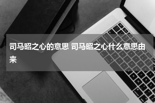 司马昭之心的意思 司马昭之心什么意思由来
