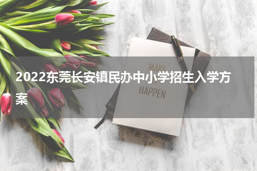 2022东莞长安镇民办中小学招生入学方案