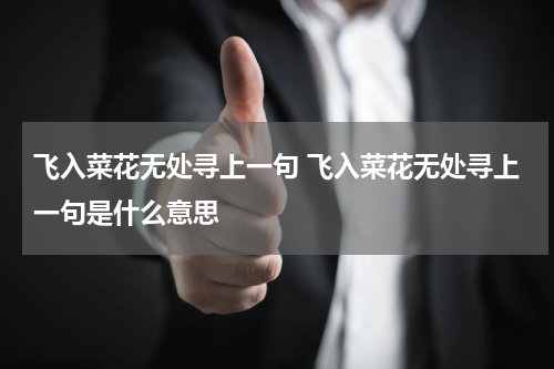 飞入菜花无处寻上一句 飞入菜花无处寻上一句是什么意思