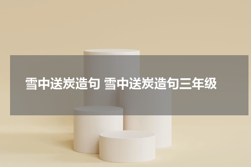 雪中送炭造句 雪中送炭造句三年级