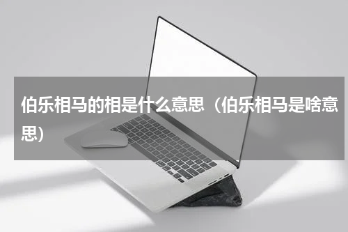 伯乐相马的相是什么意思（伯乐相马是啥意思）
