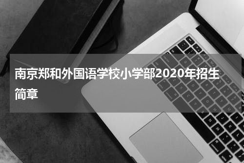 南京郑和外国语学校小学部2020年招生简章