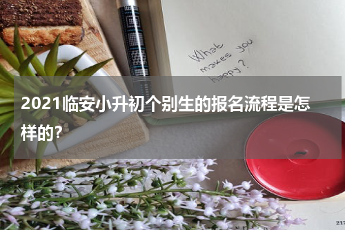 2021临安小升初个别生的报名流程是怎样的？