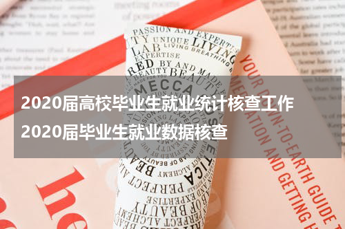 2020届高校毕业生就业统计核查工作 2020届毕业生就业数据核查