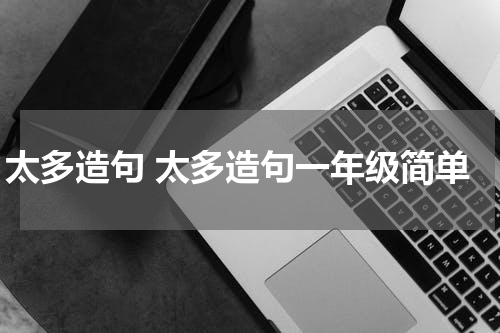 太多造句 太多造句一年级简单
