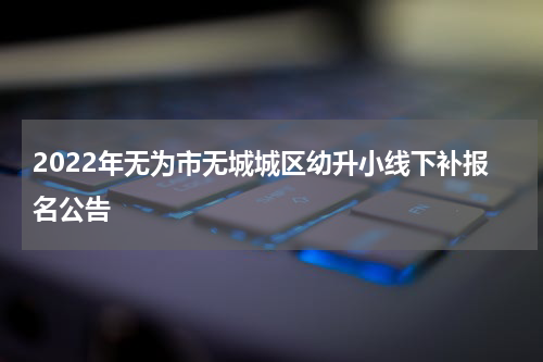 2022年无为市无城城区幼升小线下补报名公告