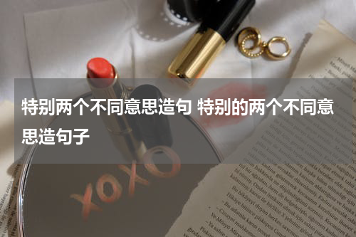 特别两个不同意思造句 特别的两个不同意思造句子