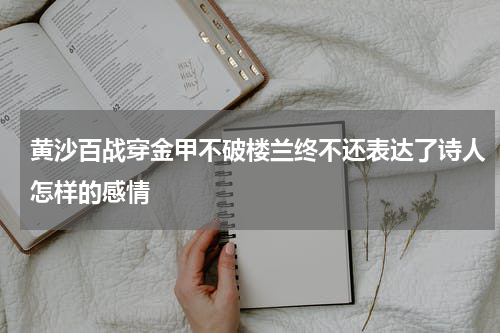 黄沙百战穿金甲不破楼兰终不还表达了诗人怎样的感情