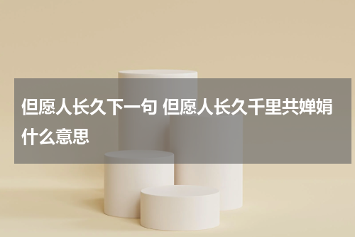 但愿人长久下一句 但愿人长久千里共婵娟什么意思