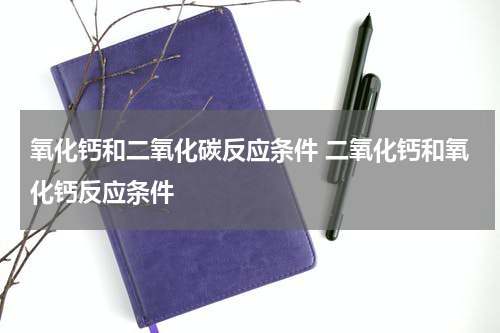 氧化钙和二氧化碳反应条件 二氧化钙和氧化钙反应条件