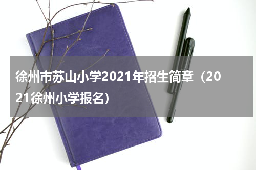 徐州市苏山小学2021年招生简章（2021徐州小学报名）
