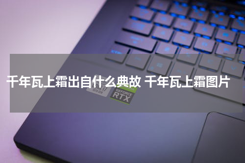 千年瓦上霜出自什么典故 千年瓦上霜图片