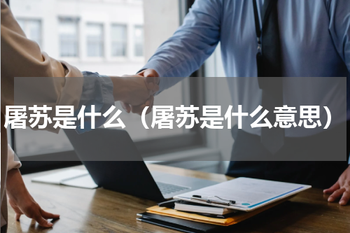 屠苏是什么（屠苏是什么意思）