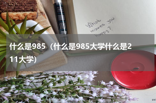 什么是985（什么是985大学什么是211大学）