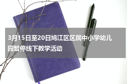 3月15日至20日鸠江区区属中小学幼儿园暂停线下教学活动