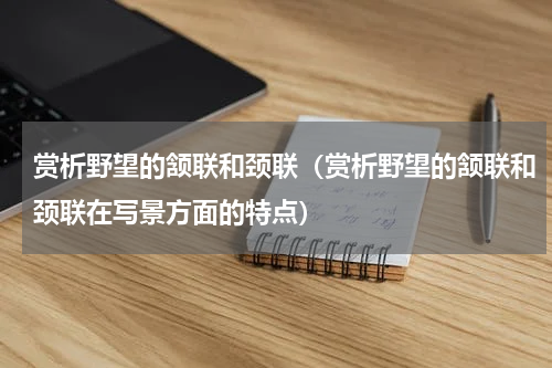 赏析野望的颔联和颈联（赏析野望的颔联和颈联在写景方面的特点）